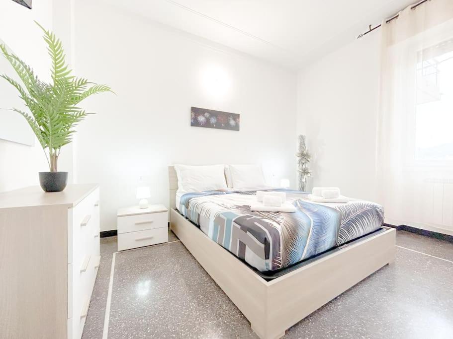 Elegant Apartment - Wifi - Smart Tv - Netflix Cenova Dış mekan fotoğraf